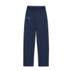 RAIDAY BLUE PANT